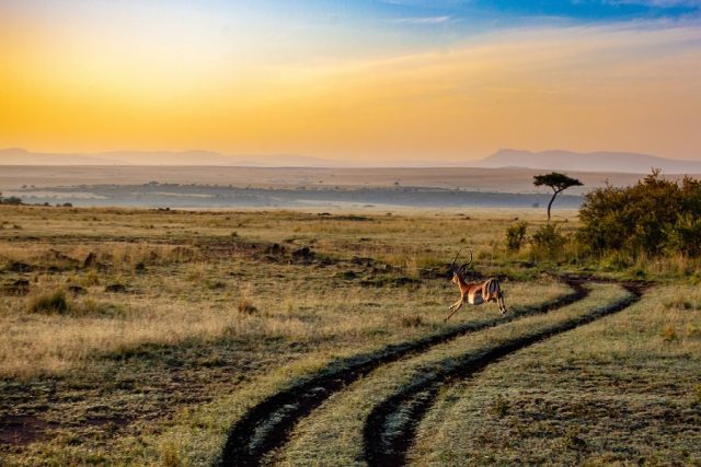Le Kenya, l’endroit idéal pour vos prochaines vacances