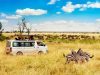 Le safari en saison sèche, une vue exceptionnelle sur les parcs nationaux en Tanzanie