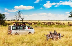 Le safari en saison sèche, une vue exceptionnelle sur les parcs nationaux en Tanzanie